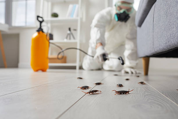 Commercial Kitchen Cockroach Control in Glouster